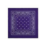 purple paisley bandana