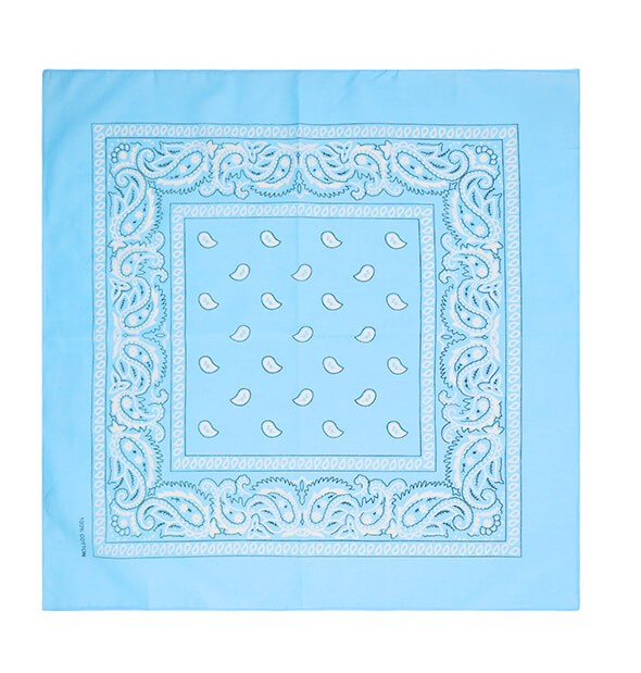 light blue paisley bandana