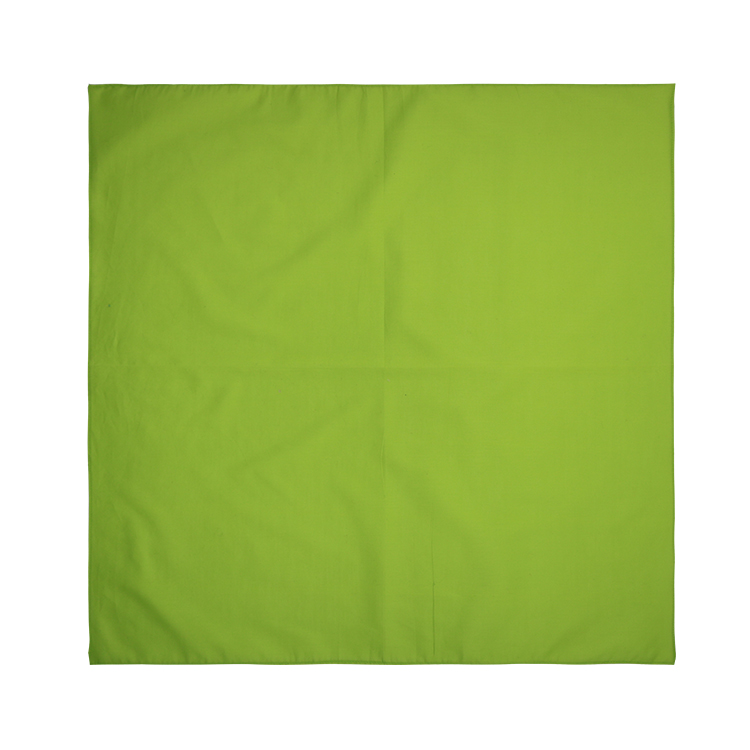 light green bandana