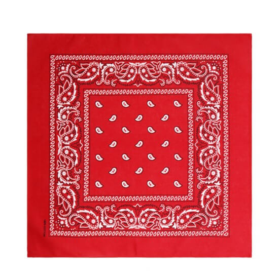 red paisley bandana (2)