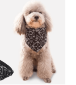 dog bandanas custom