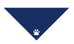 dog bandana with logo