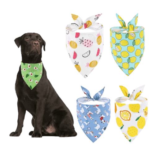 Customized design and printing colorful multi-purpose cotton pet dog bandana.2