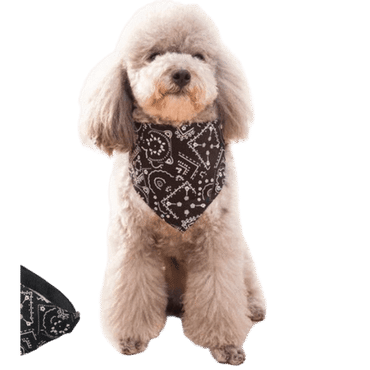Triangle Scarf suitable for small, medium and large dogs custom pet bandana