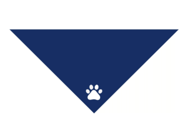 Custom Solid Dog Bandana With Your Own Logo-2