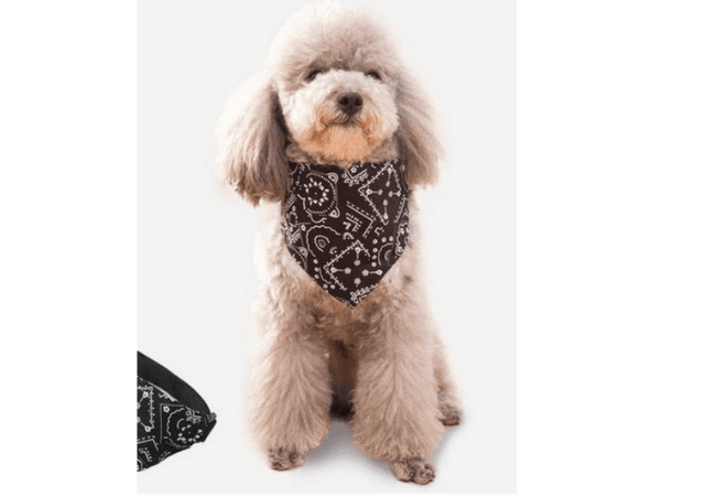 Triangle Scarf suitable for small, medium and large dogs custom pet bandana-1