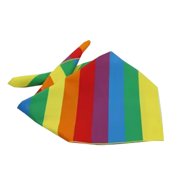 rainbow pet bandana